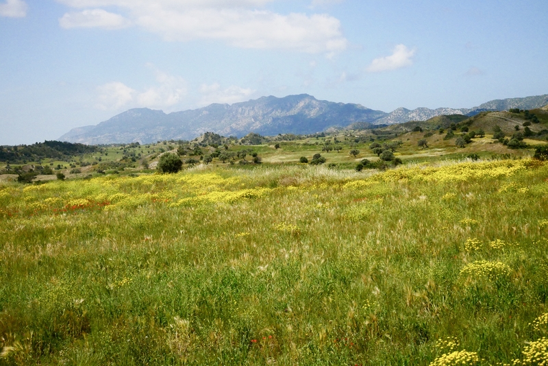 The countryside of North Cyprus near Kyrenia