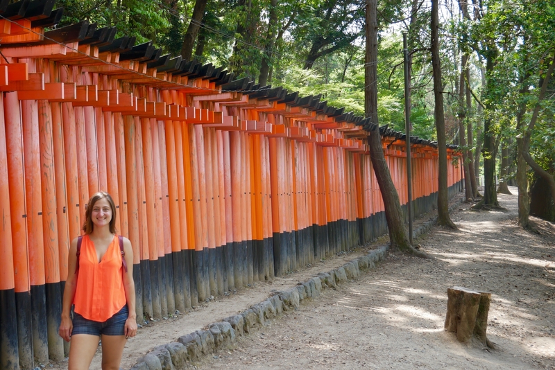 Torii Gates of the Fushimi Inari Shrine