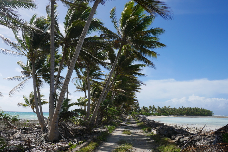 Narrow strip of land on Arno Atoll. Water lies on Each side of the road. 