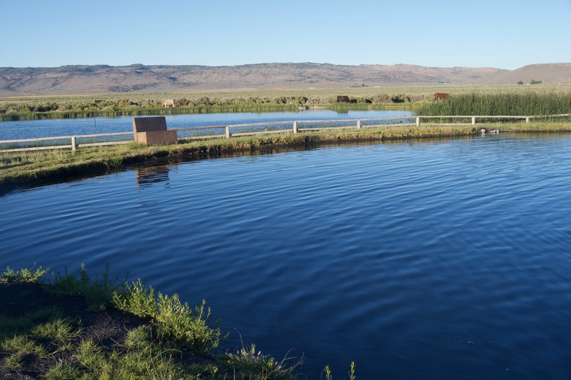 Crystal Crane Hot Springs