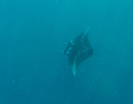 Manta Road, Pohnpei