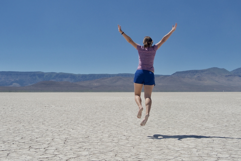 The Alvord Desert Playa