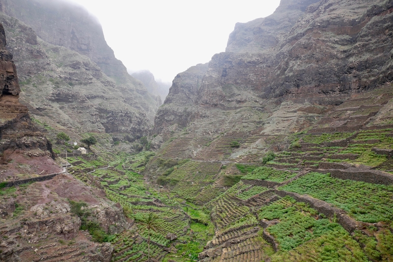 View of a terraced valley while hiking in Santo Antao