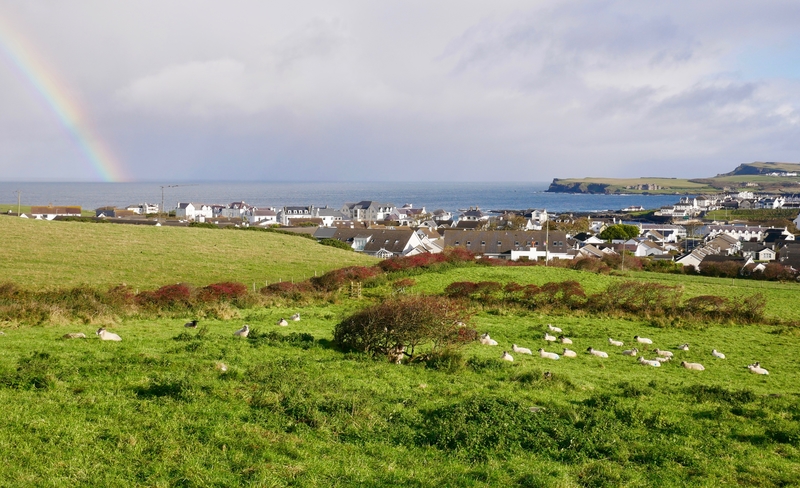 Northern Ireland Countryside