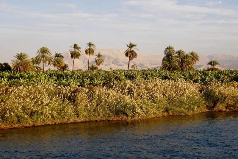 Viewing the Fertile Banks of the Nile River from our Nile Cruise Ship 