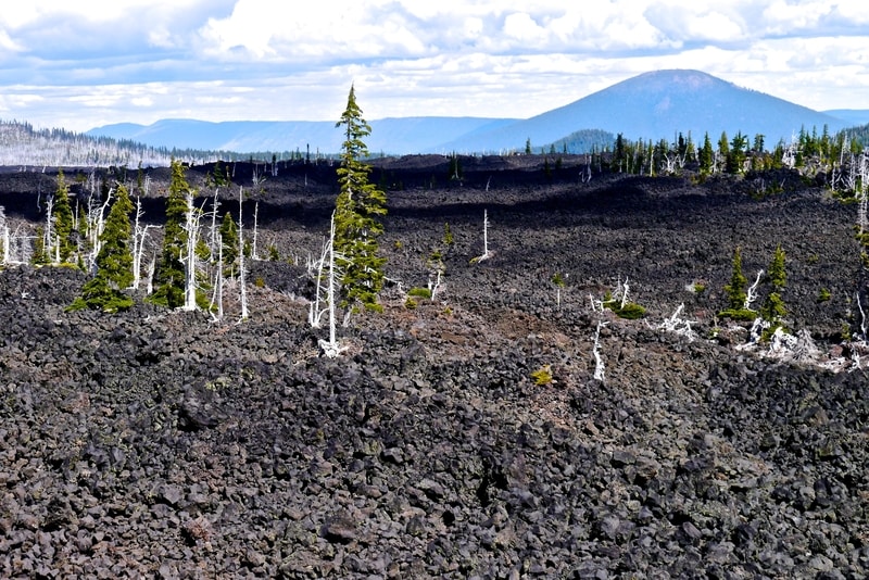 Mackenzie Highway Lava Fields