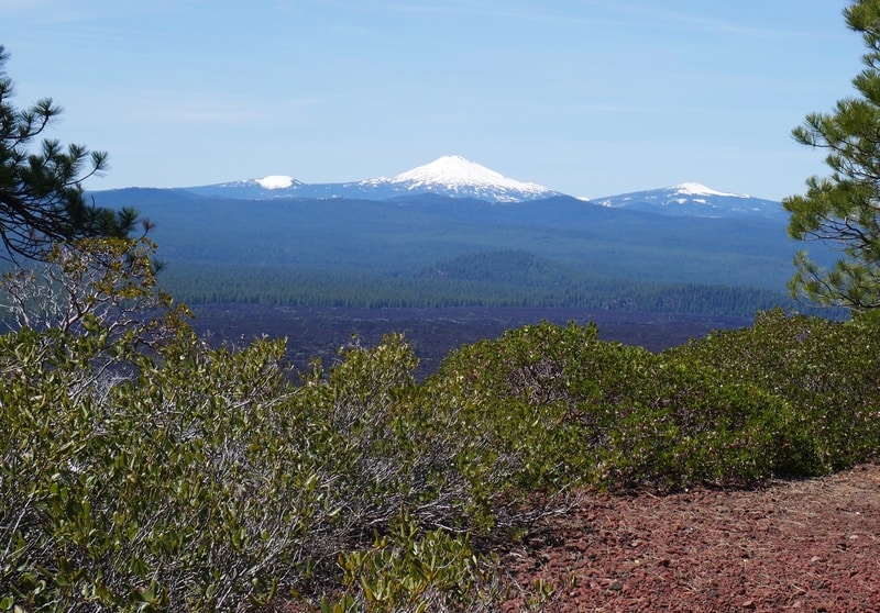 View from Lava Butte