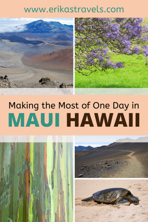 Maui in One Day