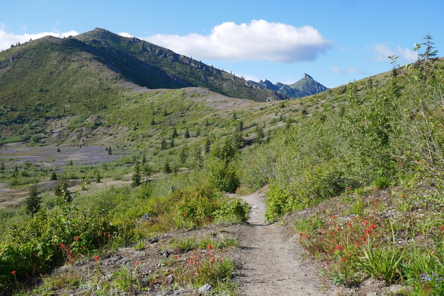 Mt St Helens Hike