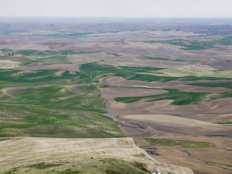 View from Steptoe Butte, Palouse Scenic Byway