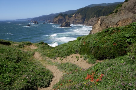 Samuel H Boardman State Park