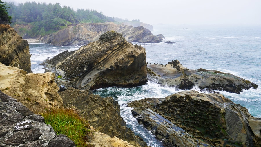 Shore Acres State Park