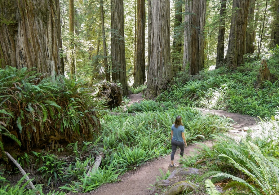 Boy Scout Trail 