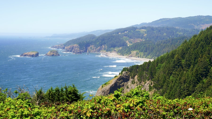 House Rock Viewpoint in the Samuel H Boardman Scenic Corridor