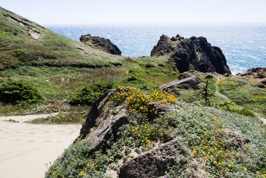 Indian Sands State Park Oregon Coast