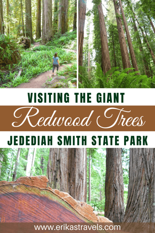 Jed Smith Redwoods State Park