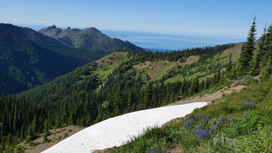 Olympic National Park in Summer