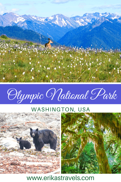 Olympic National Park Travel Guide