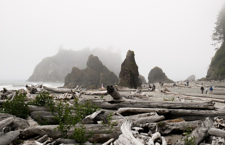 Ruby Beach Washington Coast