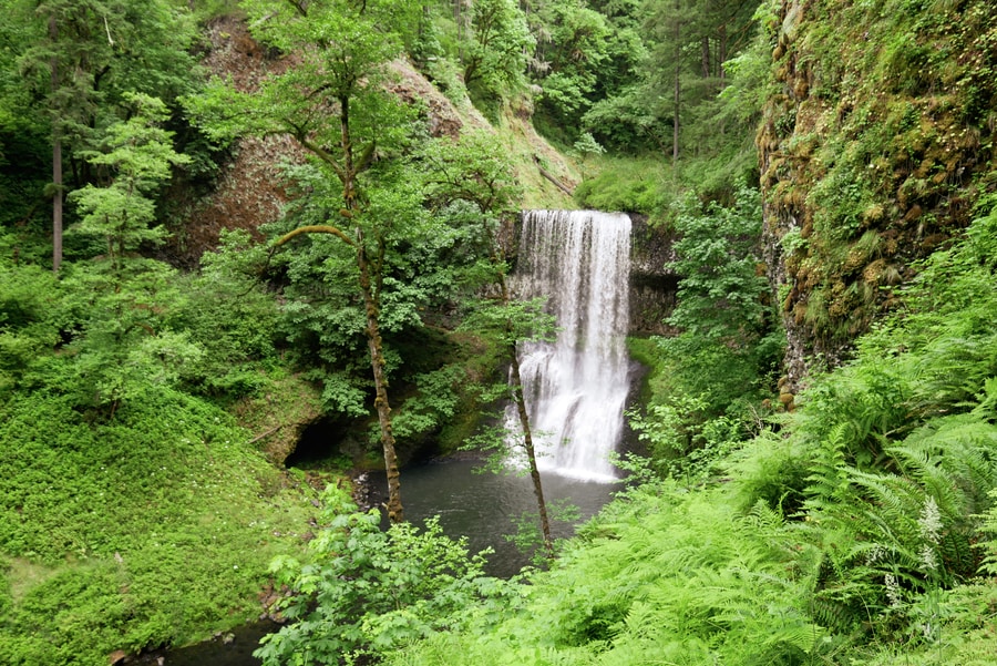 Waterfall in Silver Falls State Park