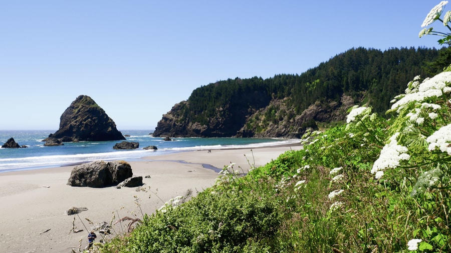 Whaleshead Beach in Samuel H Boardman Park