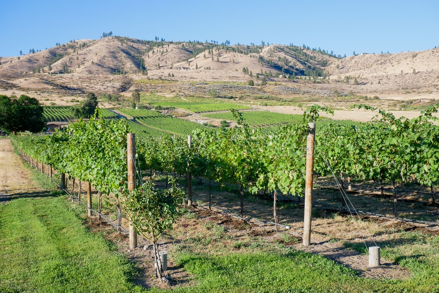 Lake Chelan Winery