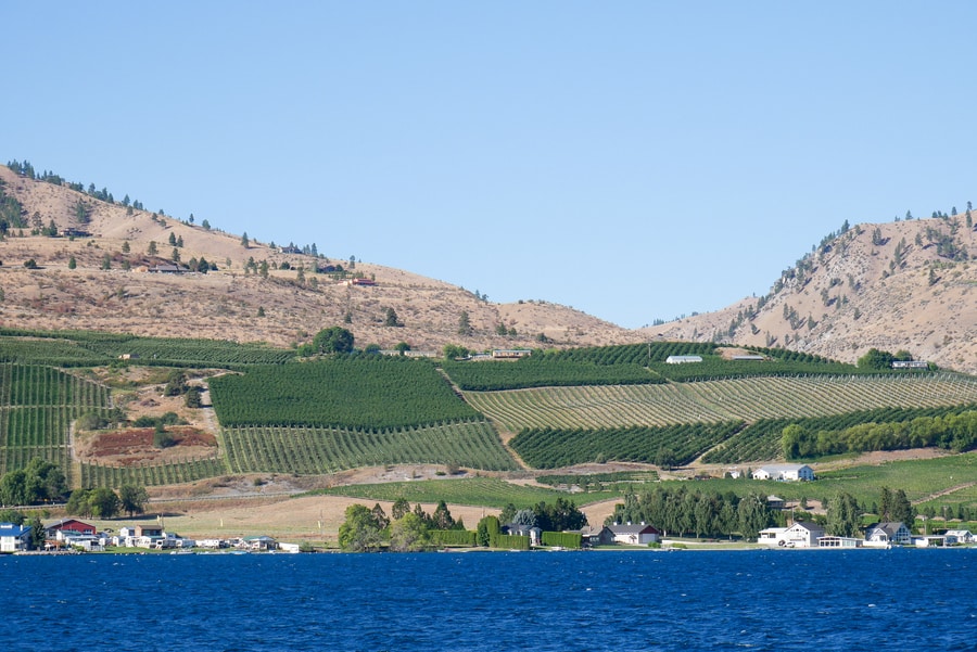 Wineries on Lake Chelan