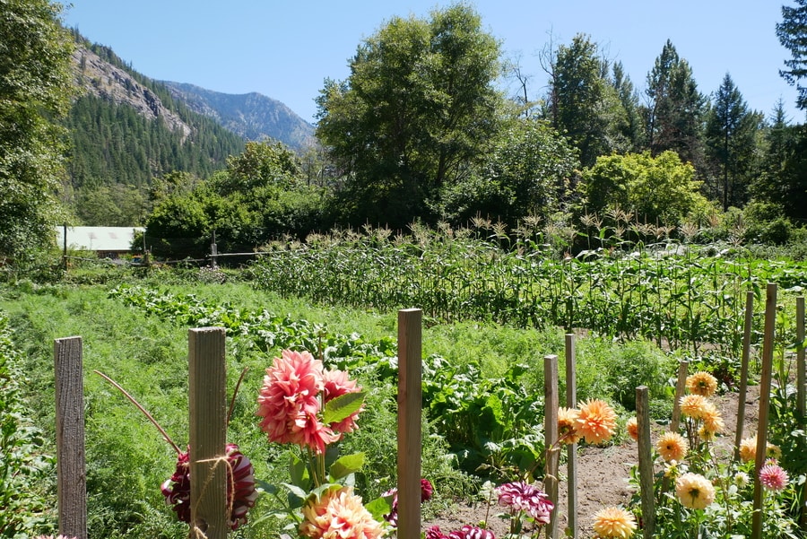 Stehekin Garden