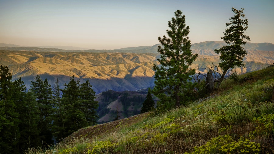 Hells Canyon Overlook