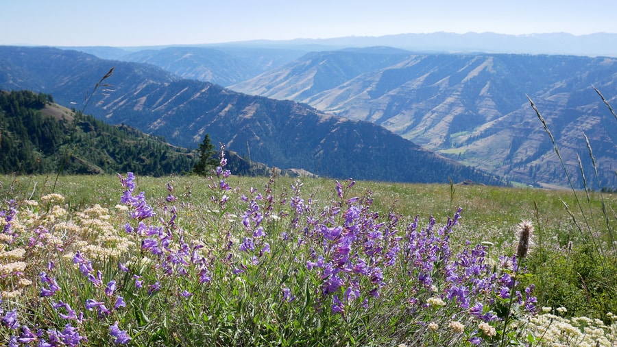 Imnaha Canyon in Oregon