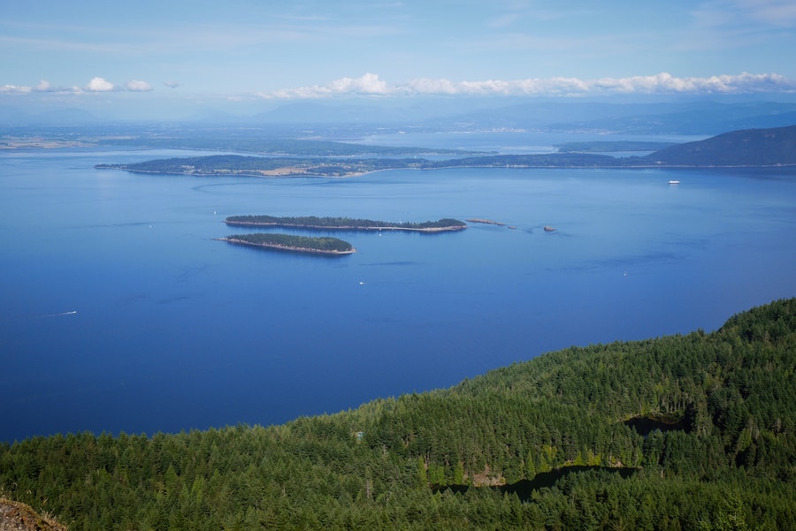 Mount Constitution Viewpoint