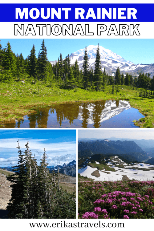 Mt Rainier National Park Washington