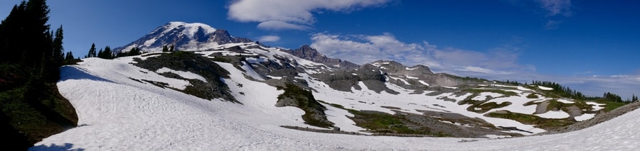 Paradise Meadows, Mt Rainier