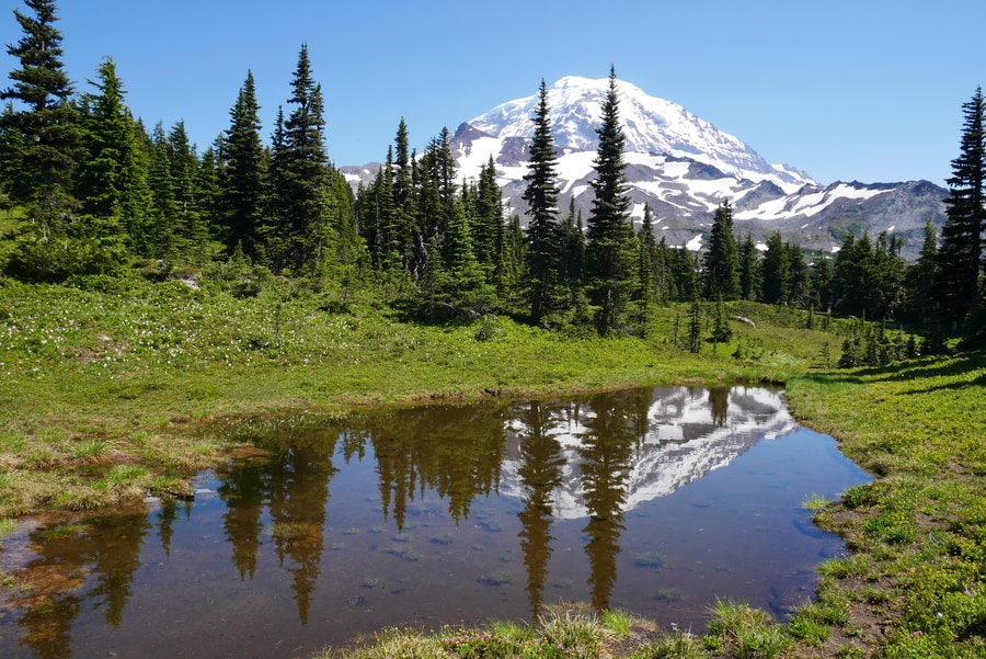 Spray Park Washington