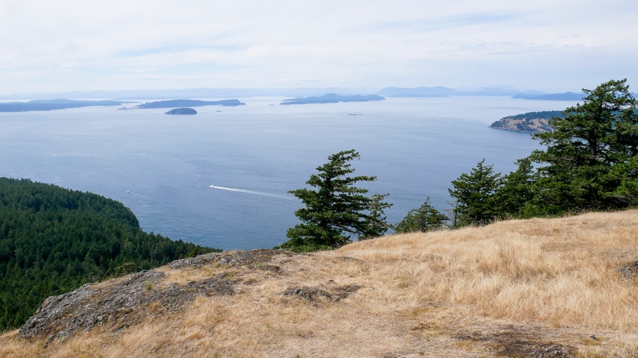 Turtlehead Viewpoint Orcas