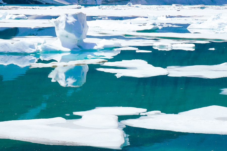 Chunks of Ice in Iceberg Lake