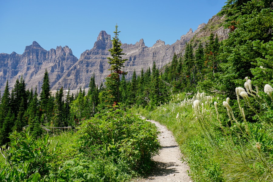 Hike to Iceberg Lake