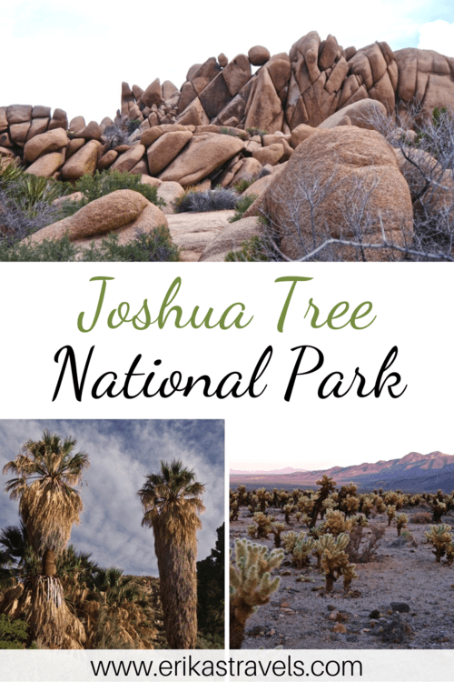 Things to Do in Joshua Tree National Park 