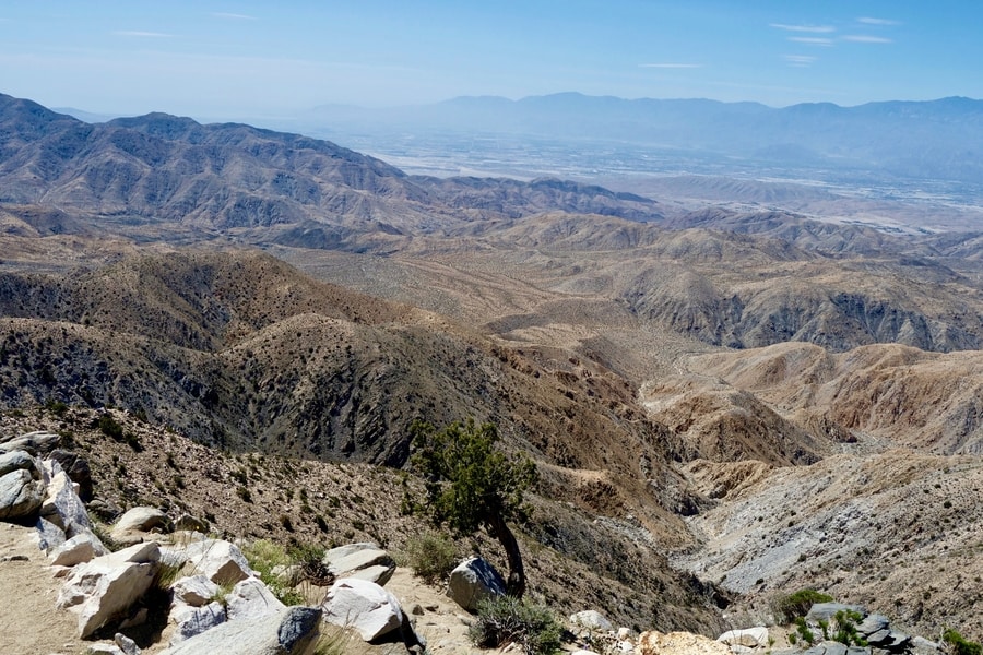 Keys View in Joshua Tree