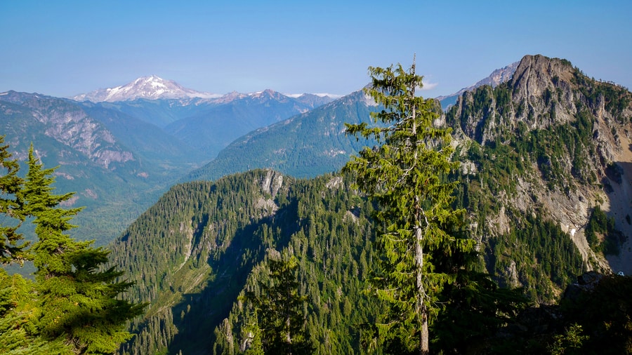 Mt Baker Snoqualmie Forest