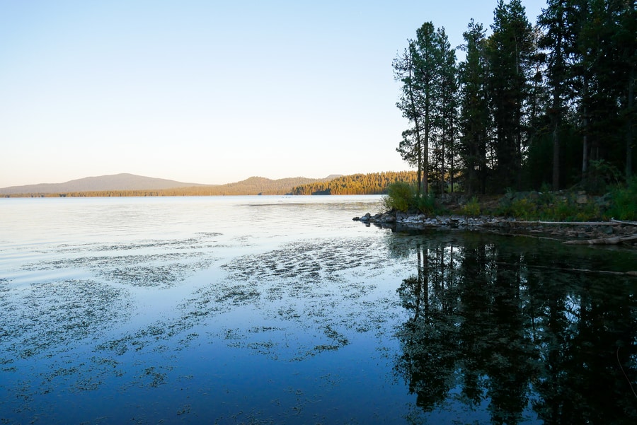 Crane Prairie Reservoir, Cascade Lakes, Oregon