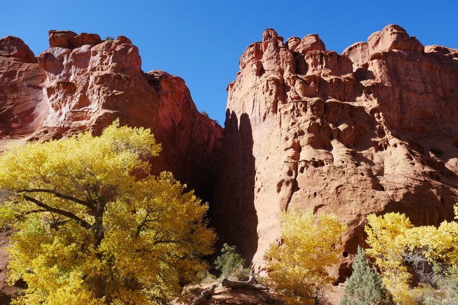 Fall Colors Burr Trail