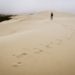 Hiking the Oregon Dunes