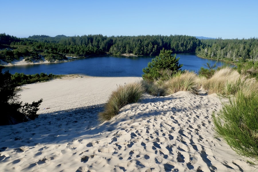Oregon dunes at Honeyman