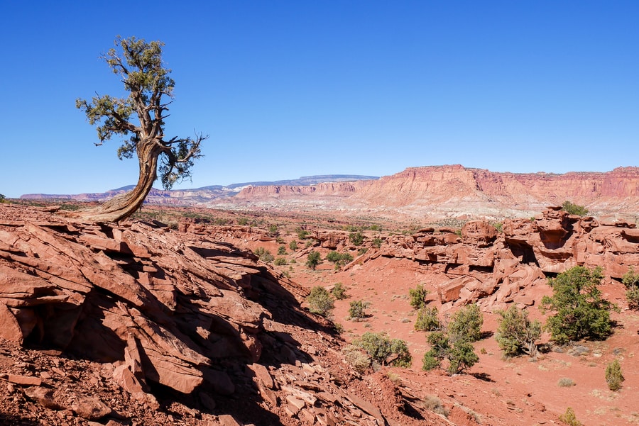 Panorama Point, Capitol Reef
