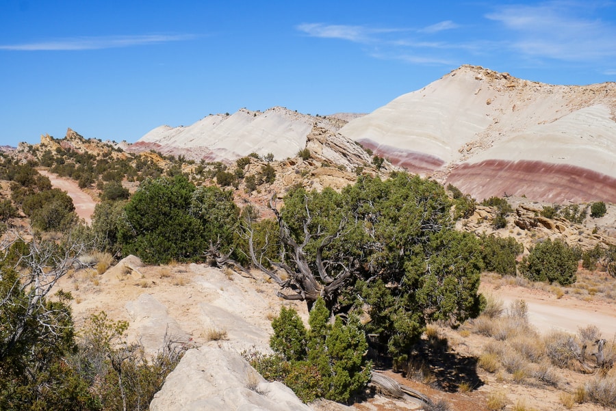 Strike Valley in Capitol Reef