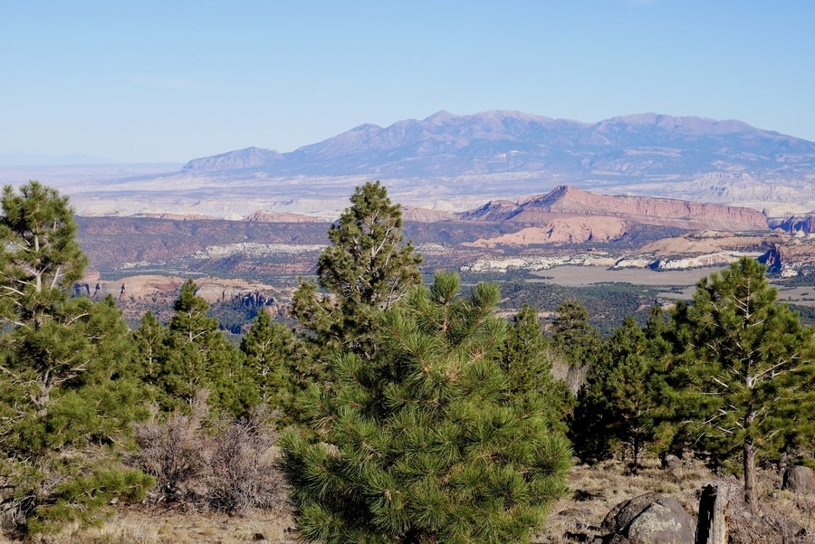 Boulder Mountain View, Utah