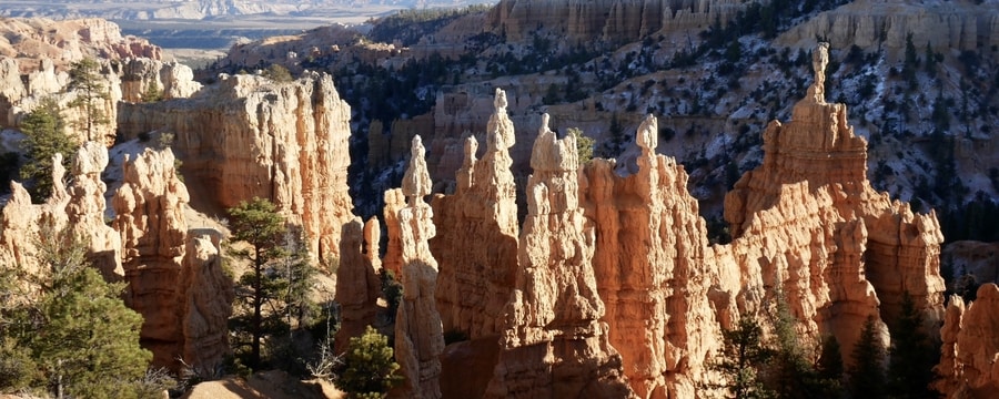 Bryce Canyon Hoodoos