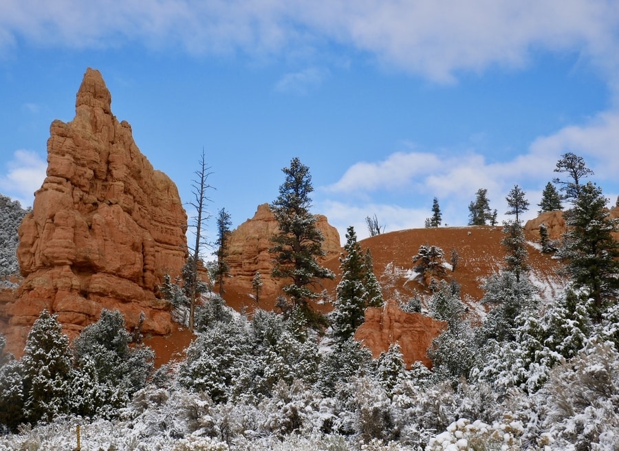 Red Canyon, Utah