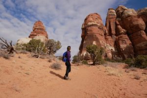 Hiking in the Canyonlands Needles District - Erika's Travels